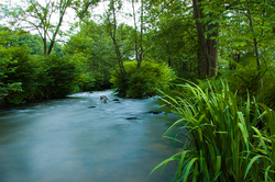 Springtime on the Auberonne River - France Creek photo