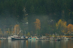 Heriot Bay  - Quadra Island Harbour photo