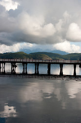 Sqirrel Cove Still Life - Cortes Island  photo