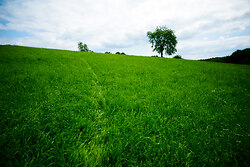 The Trail Over the Hill - Aillevillers  photo