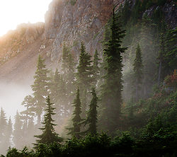 Mountain Sentinels - Mount Washington  photo