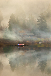 Misty Morning - Cortes Island  photo