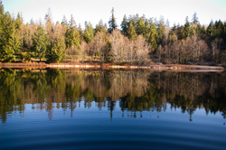 Hague Lake - Cortes Island  photo