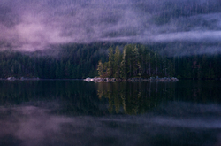 Portrait of an Island in Morning Mist - Port Neville  photo