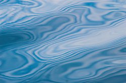 Reflection -   photo
