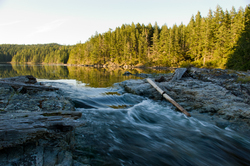  Cortes Island  photo