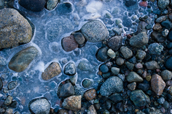 Stones Frozen - Cortes Island Shoreline photo