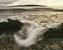  Cortes Island Wave photo