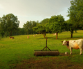 Aillevillers Farm photo