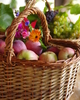 Cortes Island Food photo