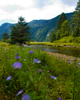 Bond Sound Wilderness photo