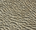 Cortes Island Beach photo