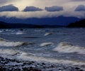 Cortes Island Seascape photo