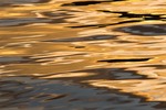 Cortes Island Reflection photo