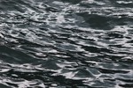 Cortes Island Reflection  photo