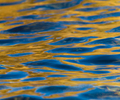 Cortes Island Reflection photo