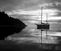Sailboat #315 - Sailboat photo from Mansons Landing Cortes Island BC, Canada