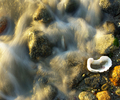 Seascape #439 - Seascape photo from  Cortes Island BC, Canada