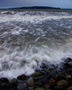 Cortes Island Seascape  photo