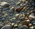 Cortes Island Seashore photo