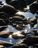 Cortes Island Seashore photo
