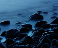 Cortes Island Shoreline photo