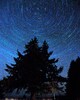 Cortes Island Star photo