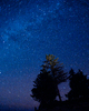Cortes Island Star photo