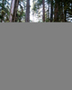 Cortes Island Wetland photo