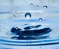 Cortes Island Droplet photo