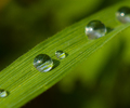 Crystal - droplet photo 