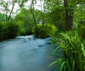 France Creek photo