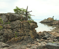 Lund Seashore photo