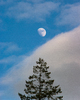Cortes Island Moon photo