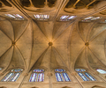 Paris Cathedral photo
